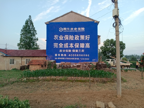 会泽墙体广告的优劣势你知道吗？