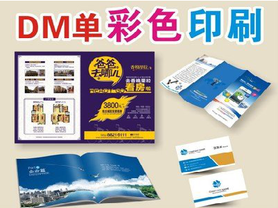 会泽单页印刷，色彩搭配简单。